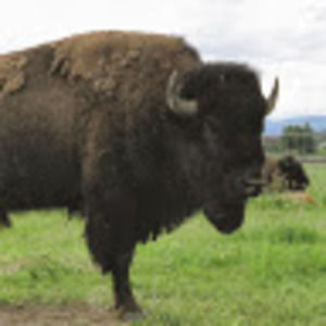 Meet your Posher, Tim